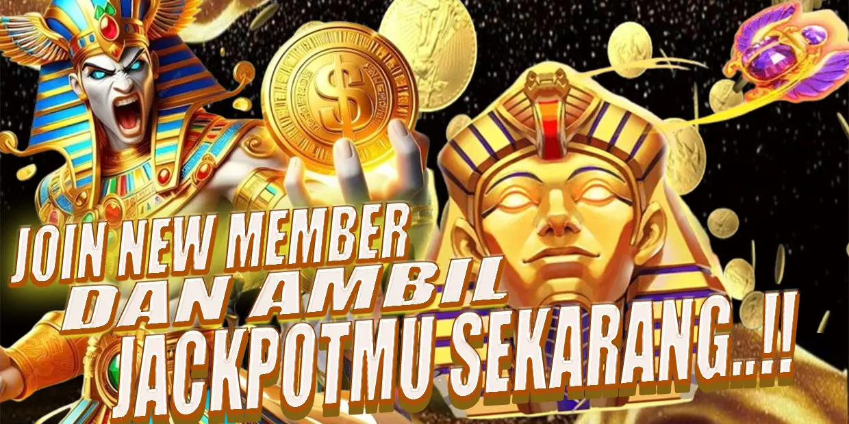BANNER SENSA77